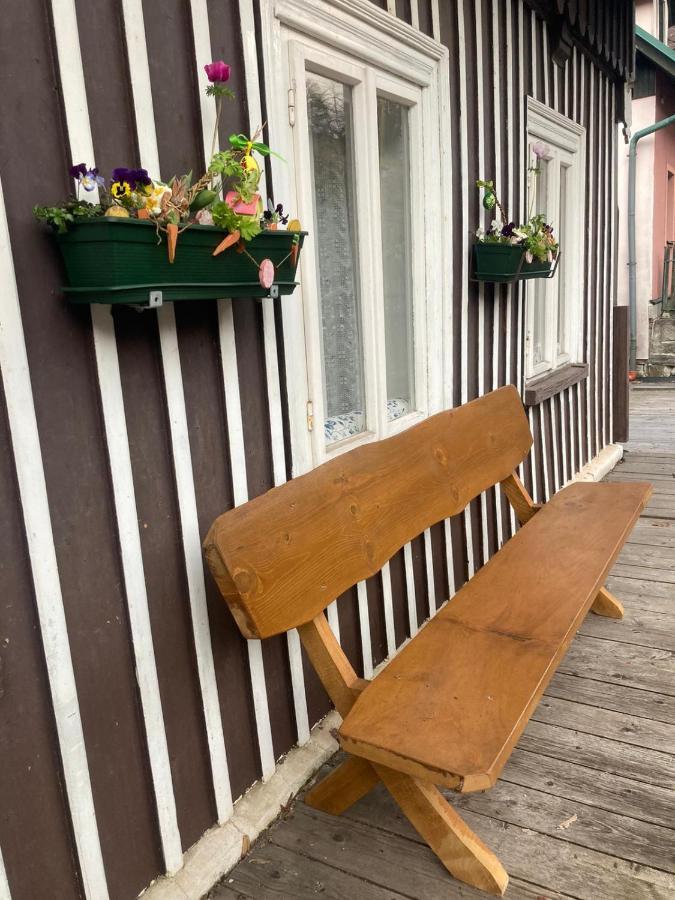 Vila Adelka - Utulna Chalupa V Krkonosich Горні-Маршов Екстер'єр фото